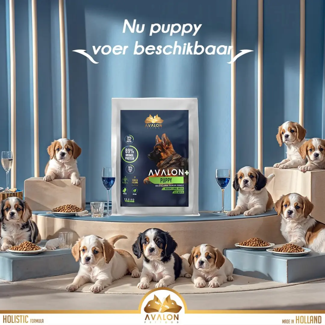 Avalon Petfood Puppy Graanvrij Droogvoer 5KG