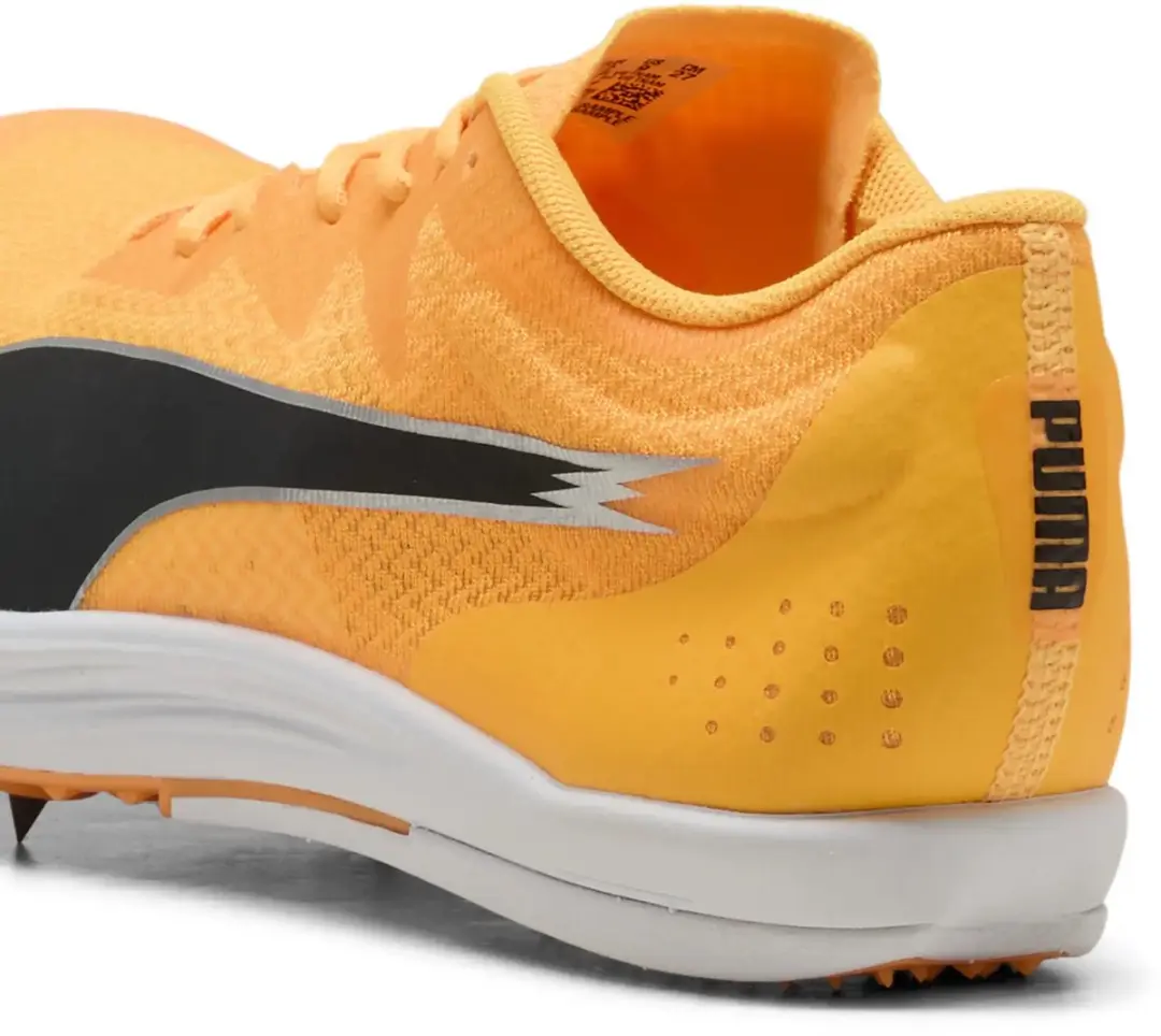 PUMA Evospeed Sportschoenen 44 - Zwart - afbeelding 6 van 6