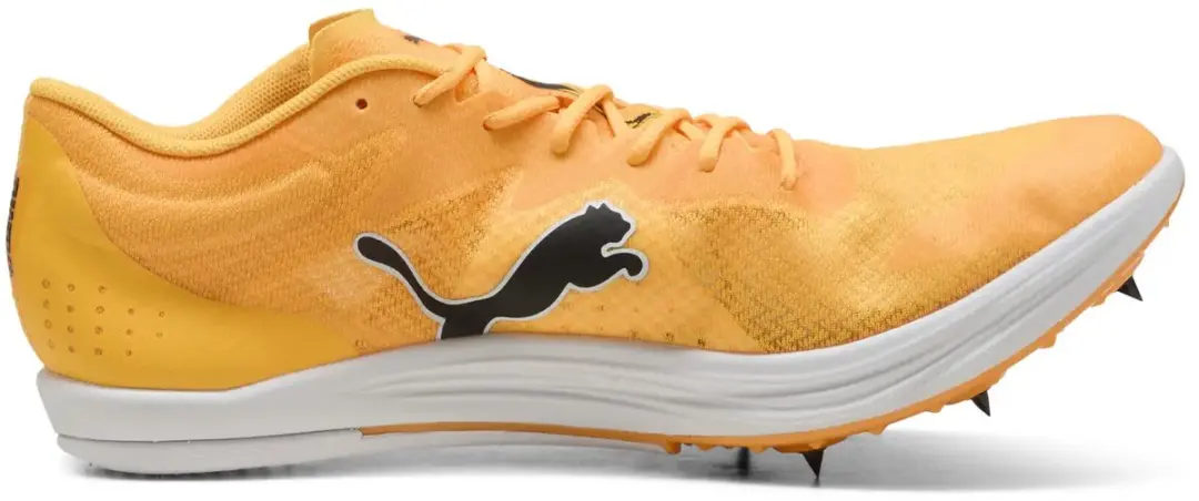 PUMA Evospeed Sportschoenen 44 - Zwart