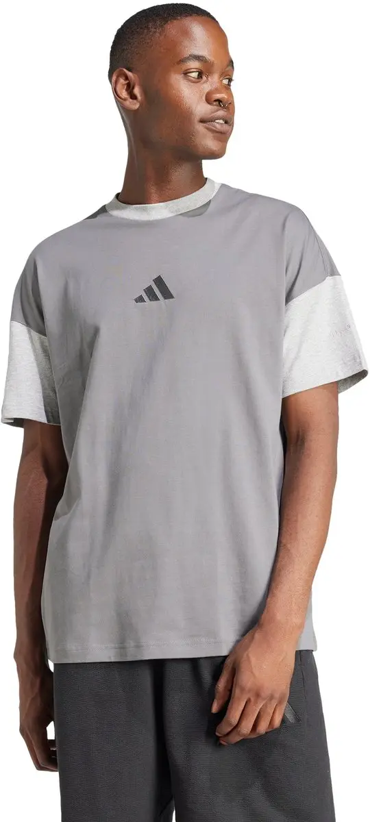 Adidas All Szn Colorblock T-Shirt JJ3678 - Heren - Grijs