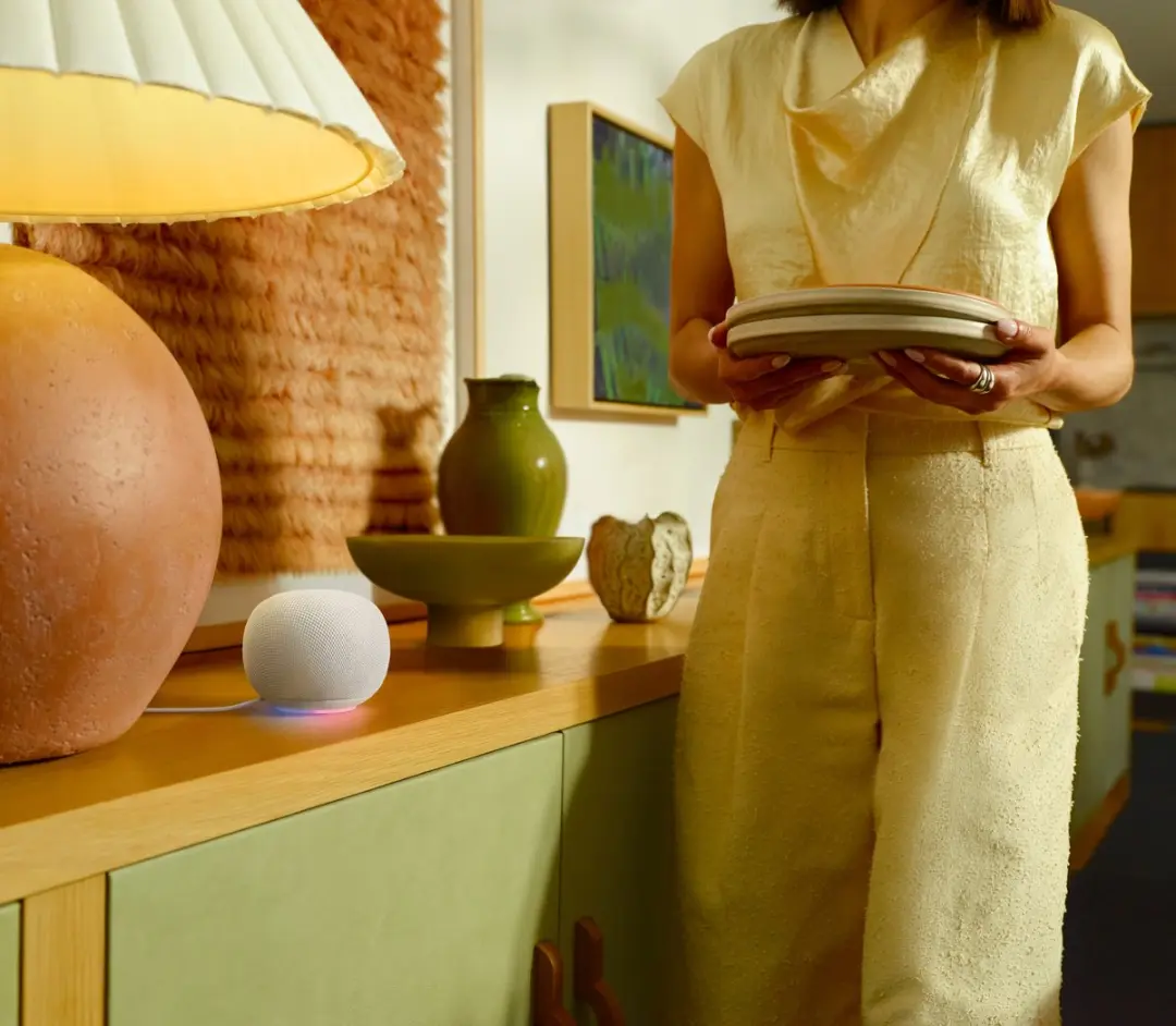 Google Home Speaker - Grijs