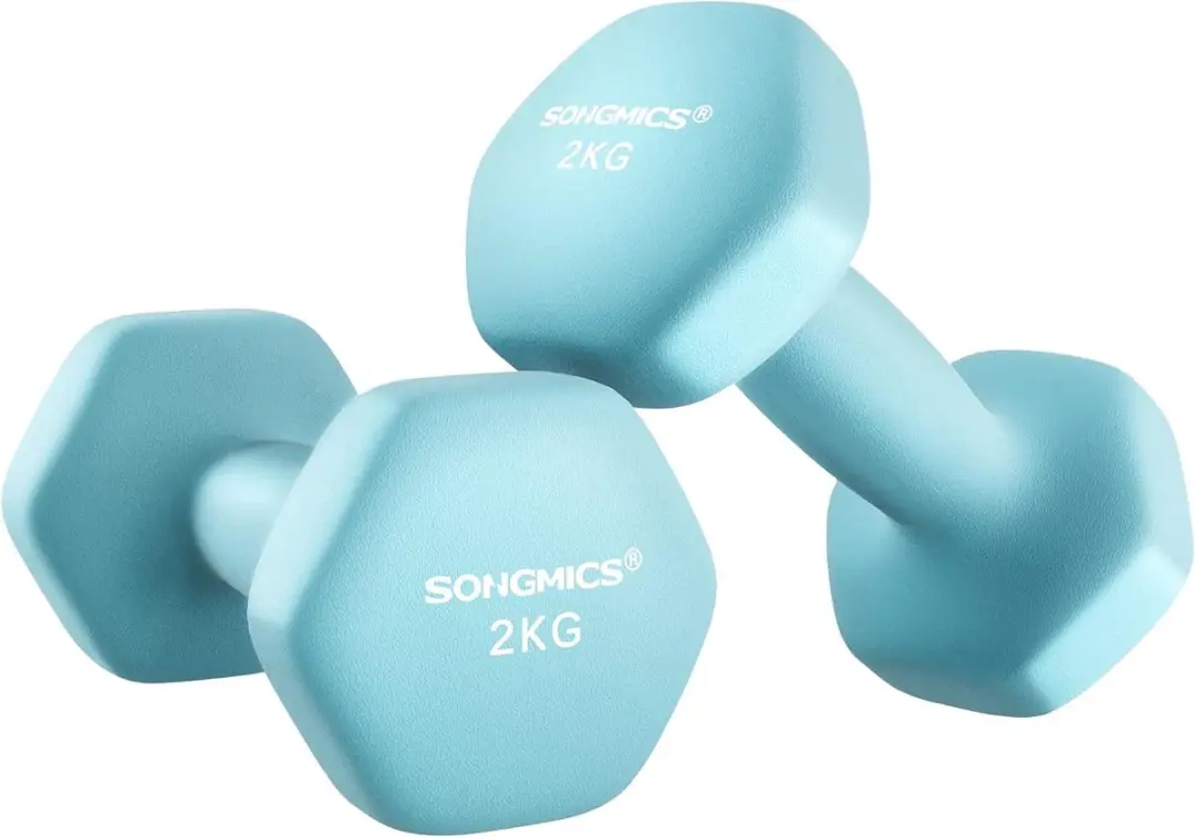 Songmics Halters 2 kg SYL904Q01