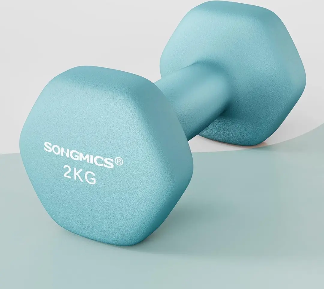 Songmics Halters 2 kg SYL904Q01 - 2 Stuks - Blauw