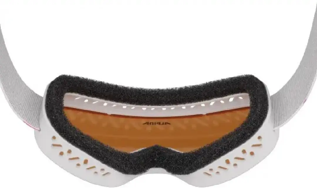 Alpina Carvy 3.0 Junior Skibril - Roze - Oranje lens