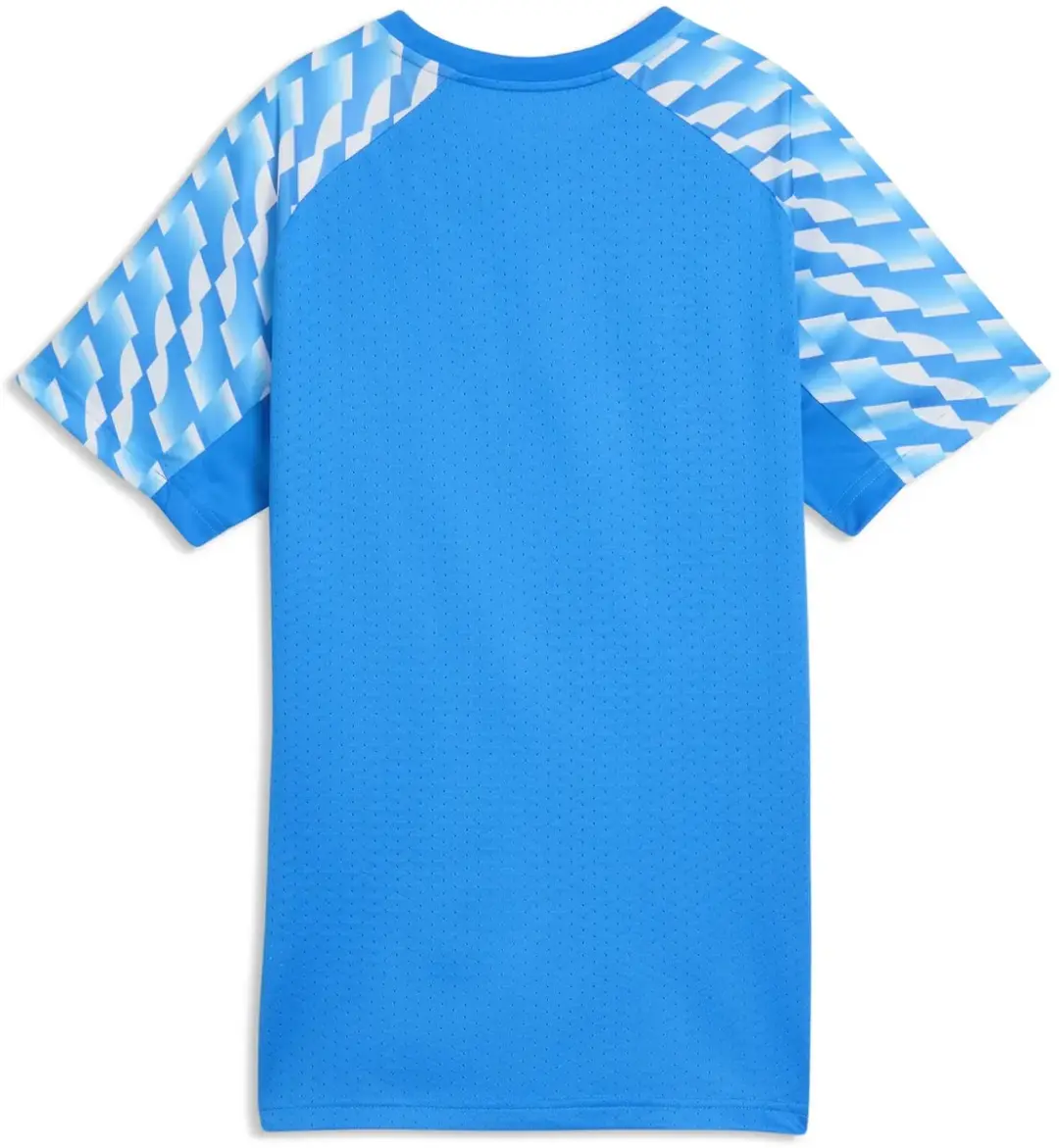 PUMA Damestrui Liga26 - M - Koningsblauw