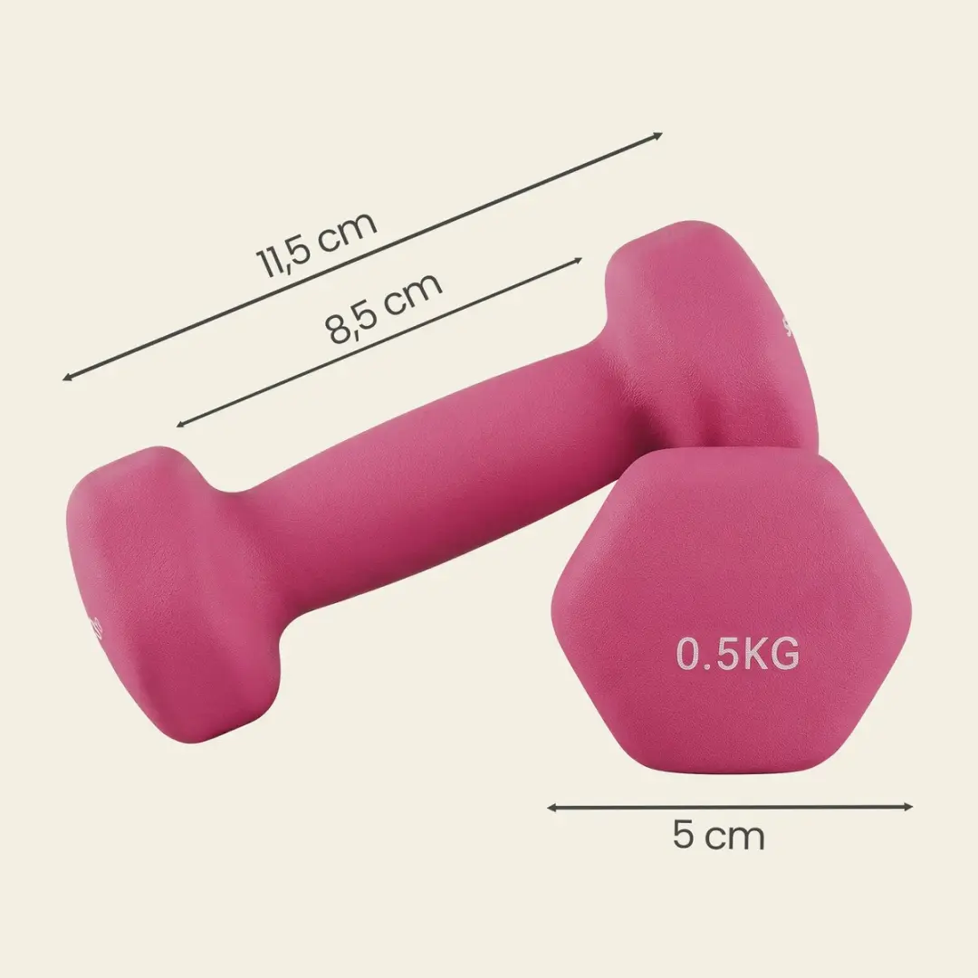 Songmics SYL61PK Halterset 2x 0,5kg - Neonroze