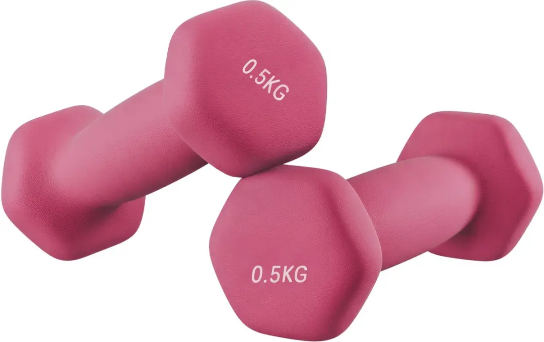 Songmics SYL61PK Halterset 2x 0,5kg