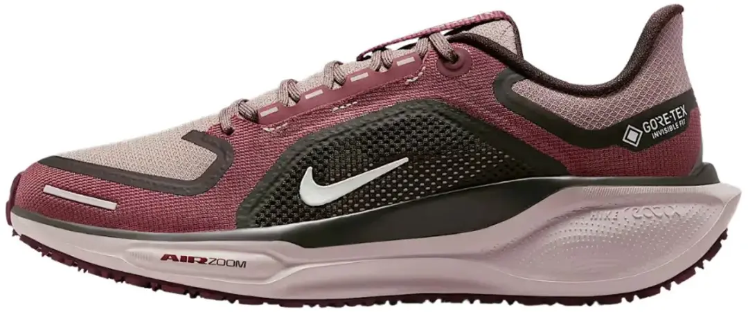 Nike Pegasus 41 GTX Hardloopschoenen Dames FQ1357-004 - Paars