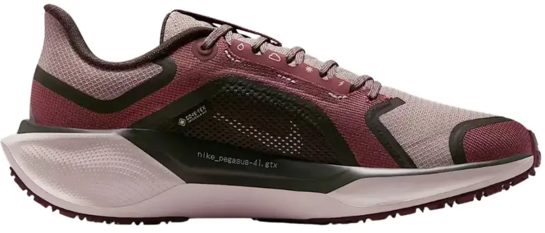 Nike Pegasus 41 GTX Hardloopschoenen Dames FQ1357-004 - Paars