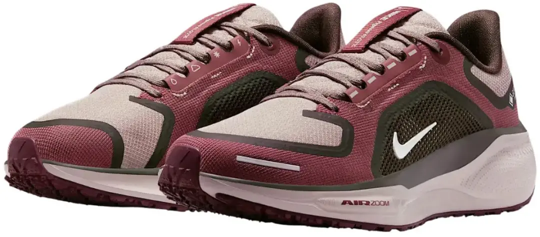Nike Pegasus 41 GTX Hardloopschoenen Dames FQ1357-004 - Paars