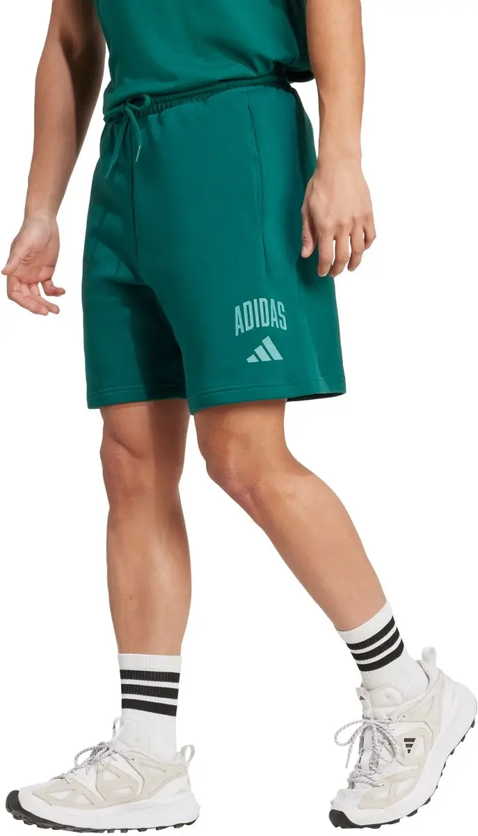adidas Sportswear Collegiate Short M