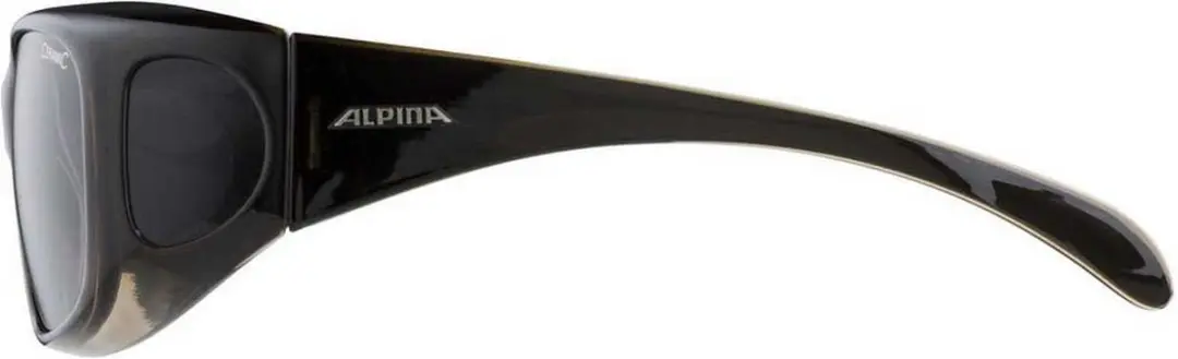 Alpina Overview Zonnebril - Zwart
