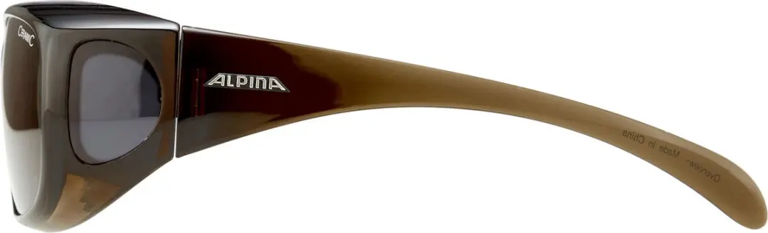 Alpina Overview Zonnebril - Zwart - afbeelding 6 van 6