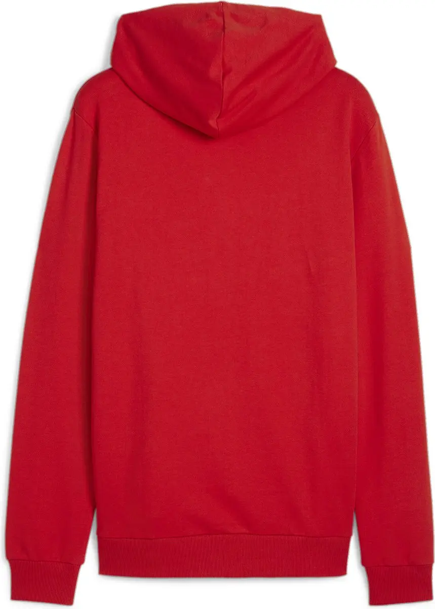 PUMA TeamGOAL Hoody 658618 - Rood