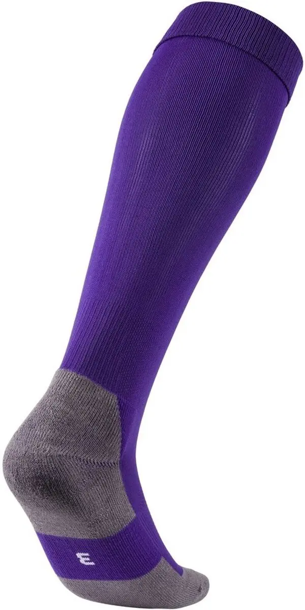 PUMA Teamliga Voetbalkousen 35-38 - Paars