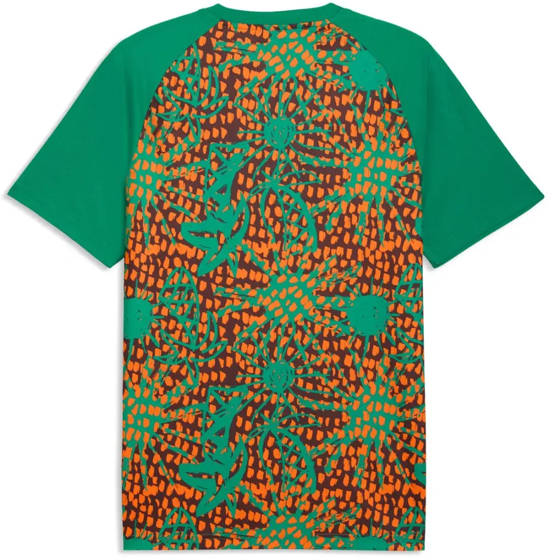 PUMA Maillot Prematch Ivoorkust Coupe du Monde 2026 - L - Groen/Chocoladebruin