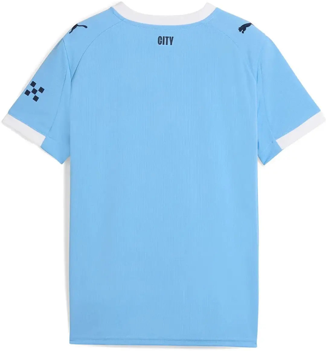 PUMA Manchester City Thuis Tenue 2025/26 - Blauw