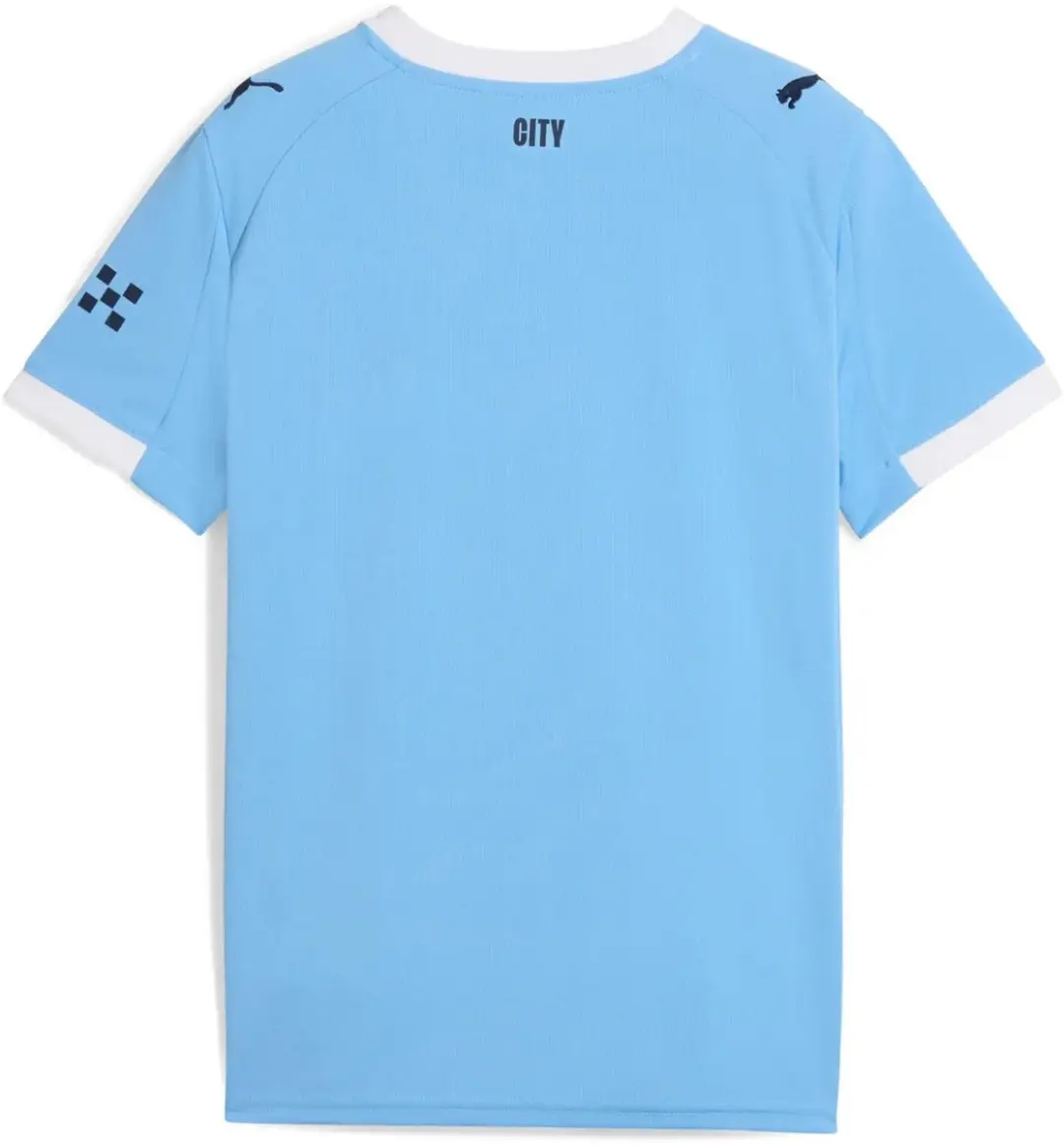 PUMA Manchester City Thuis Tenue 2025/26 - Blauw