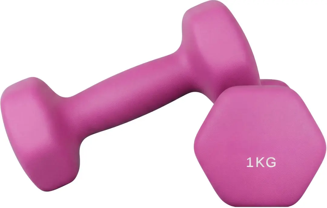 Songmics SYL902P01 Hexagon Dumbbellset 1 kg