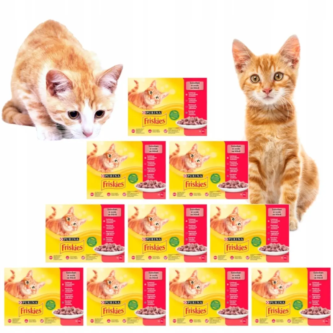 Purina Friskies MP Serie Natvoer - 120x85g