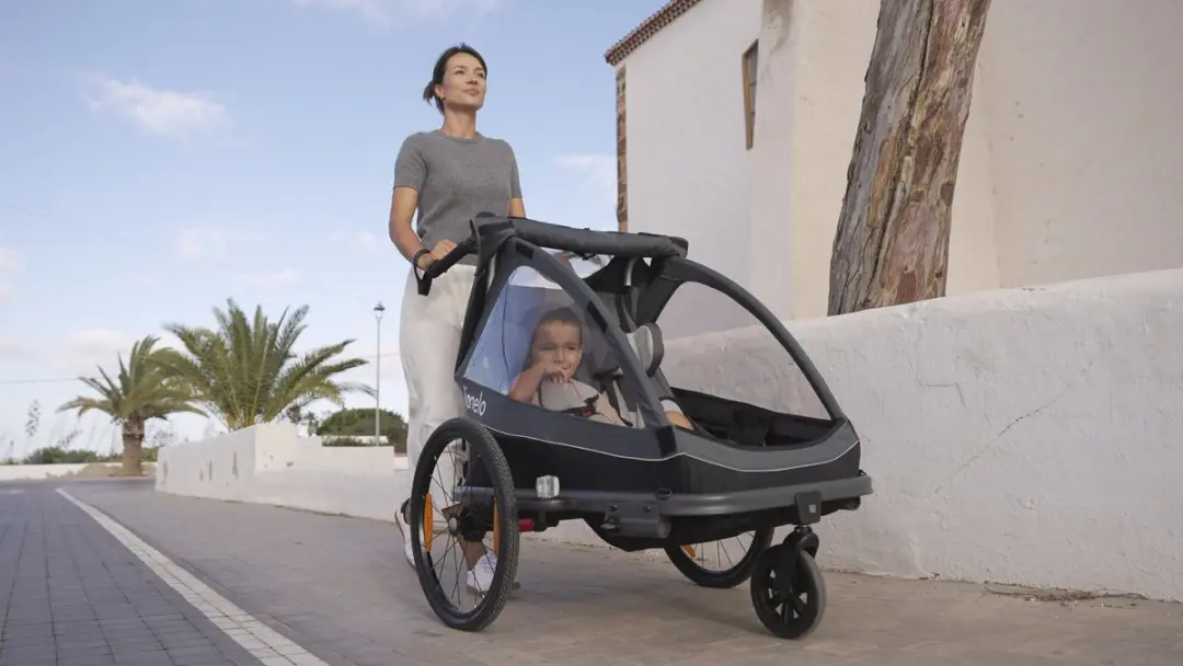 Lionelo Fietskar 2in1 - 60L Bagageruimte - Grijs
