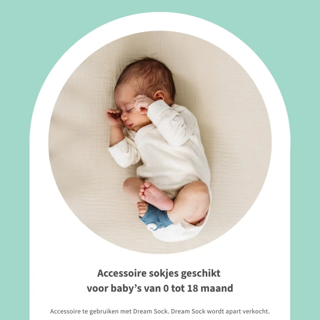 Owlet Stoffen Sokje Dream Sock - 4 Stuks Bedtime Blue