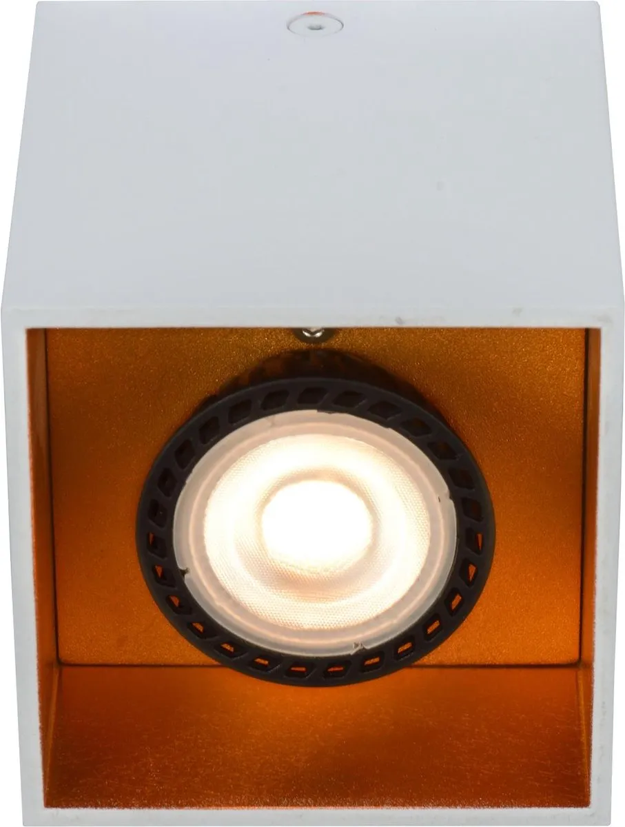 Lucide BIDO Plafondspot GU10 - Wit