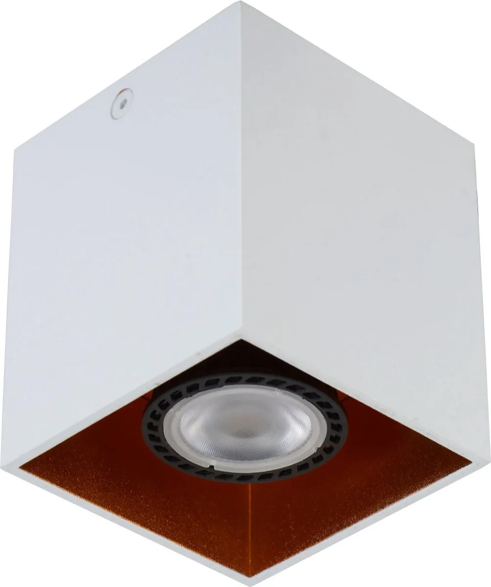 Lucide BIDO Plafondspot GU10 - Wit