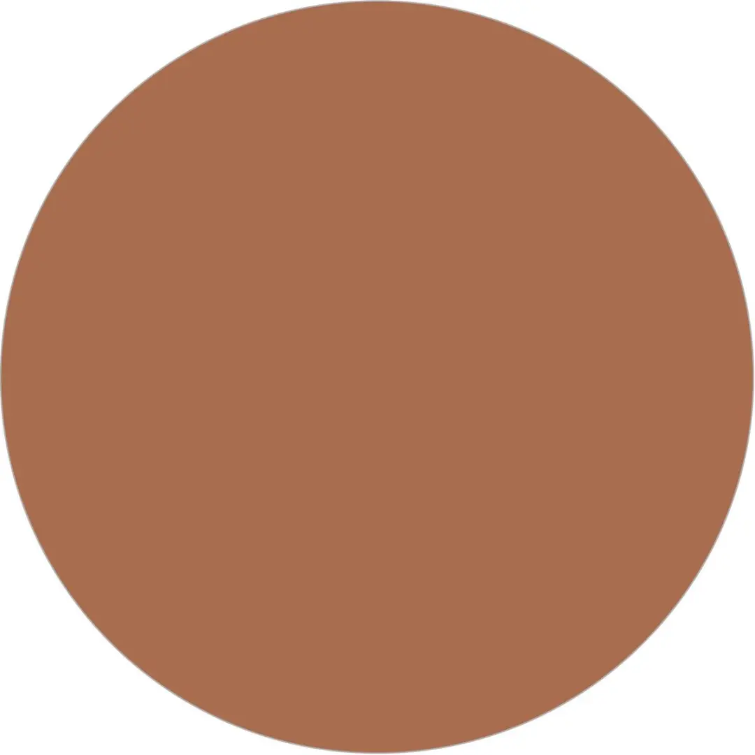 L'Oréal Paris True Match Poeder N9 Deep Neutral - 10g