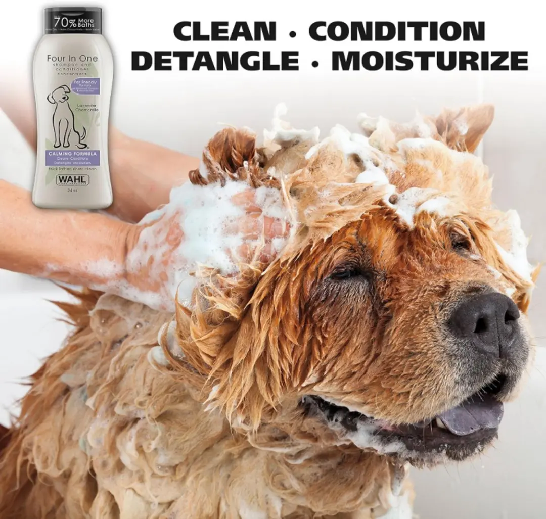 Wahl 4-in-1 Hondenshampoo Lavendel & Kamille 710ml