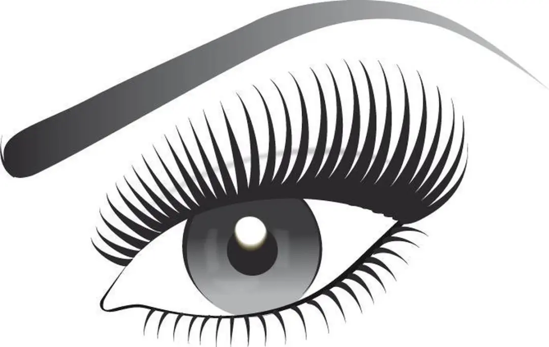 L'Oréal Paris Mascara False Lash Architect Black Lacquer 10ml
