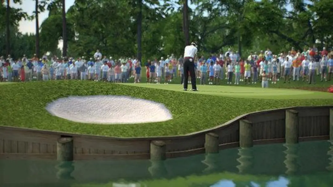 Electronic Arts Tiger Woods PGA Tour 2013