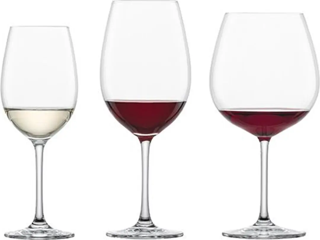 Schott Zwiesel Ivento Bodini Set 18-delig