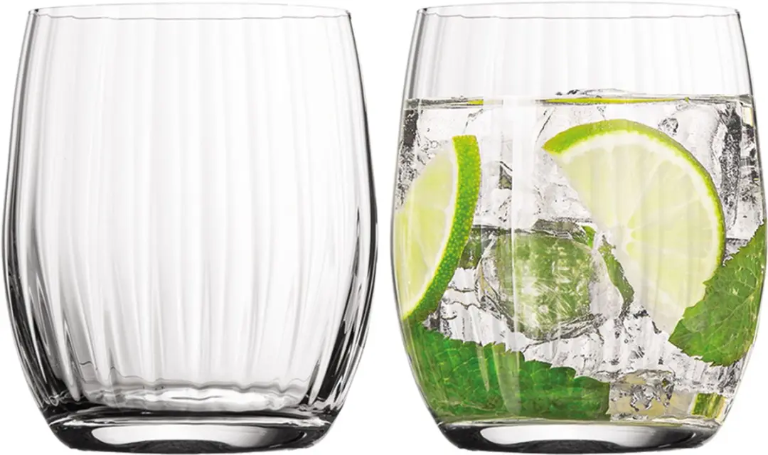 VacuVin Waterglazen Set 2 Stuks
