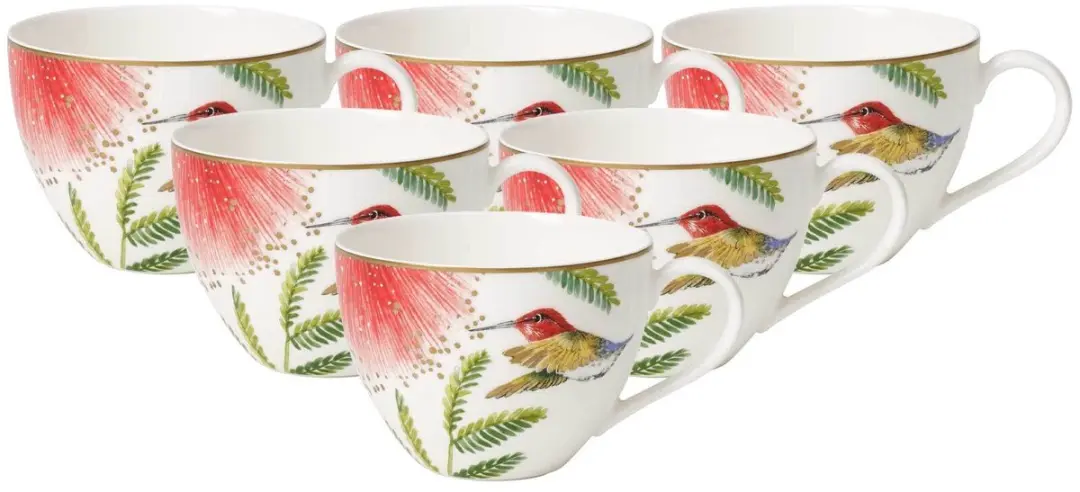 Villeroy & Boch Amazonia Anmut Koffietassen Set