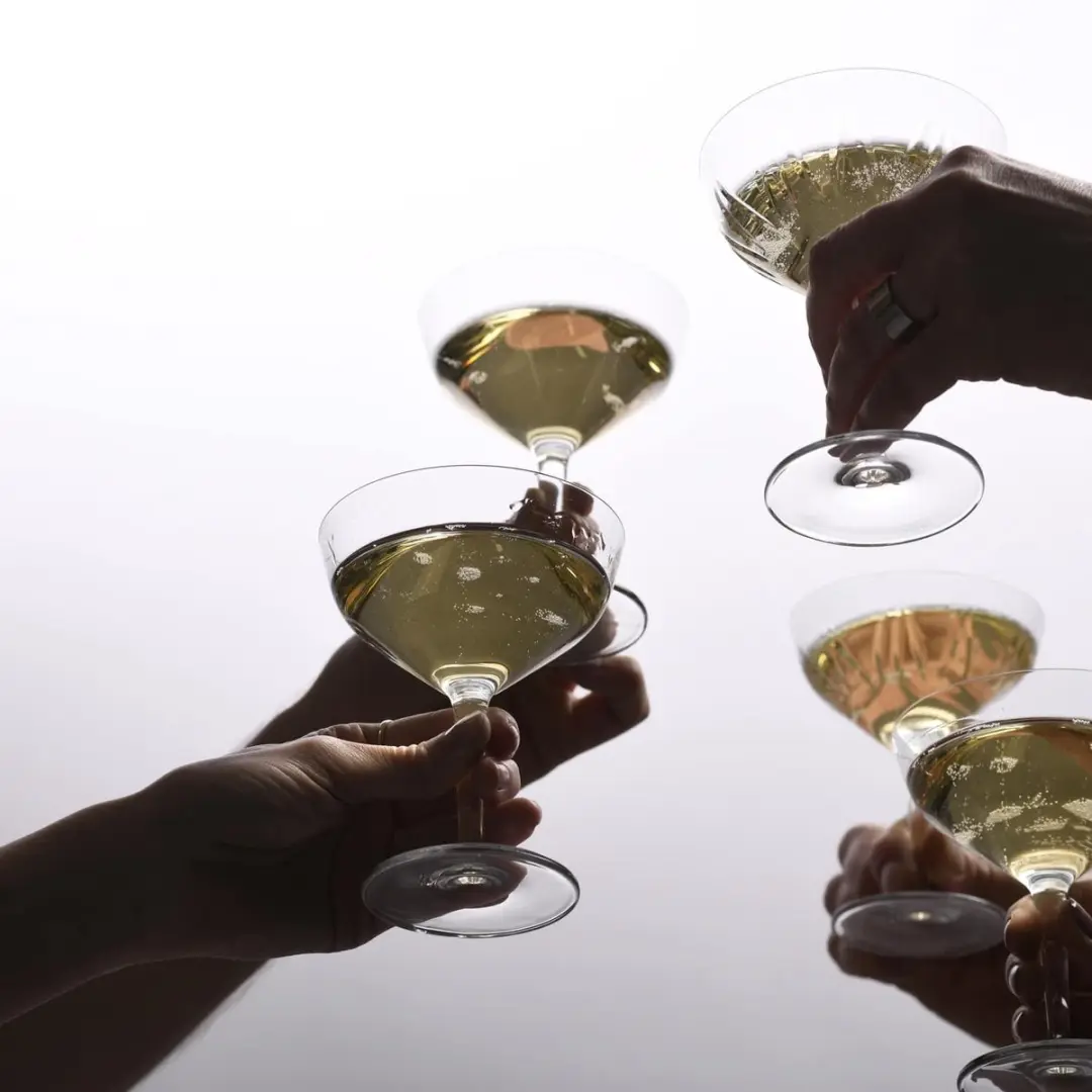 Schott Zwiesel Basic Bar Selection Cocktailcoupe 0.26L - 6 Stuks - afbeelding 6 van 6