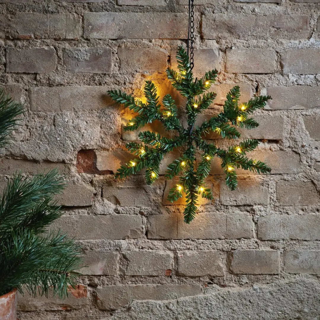 Star Trading LED Sneeuwvlok 'Snowflake' - 24 Warmwitte LED's - Groen - Ø40cm