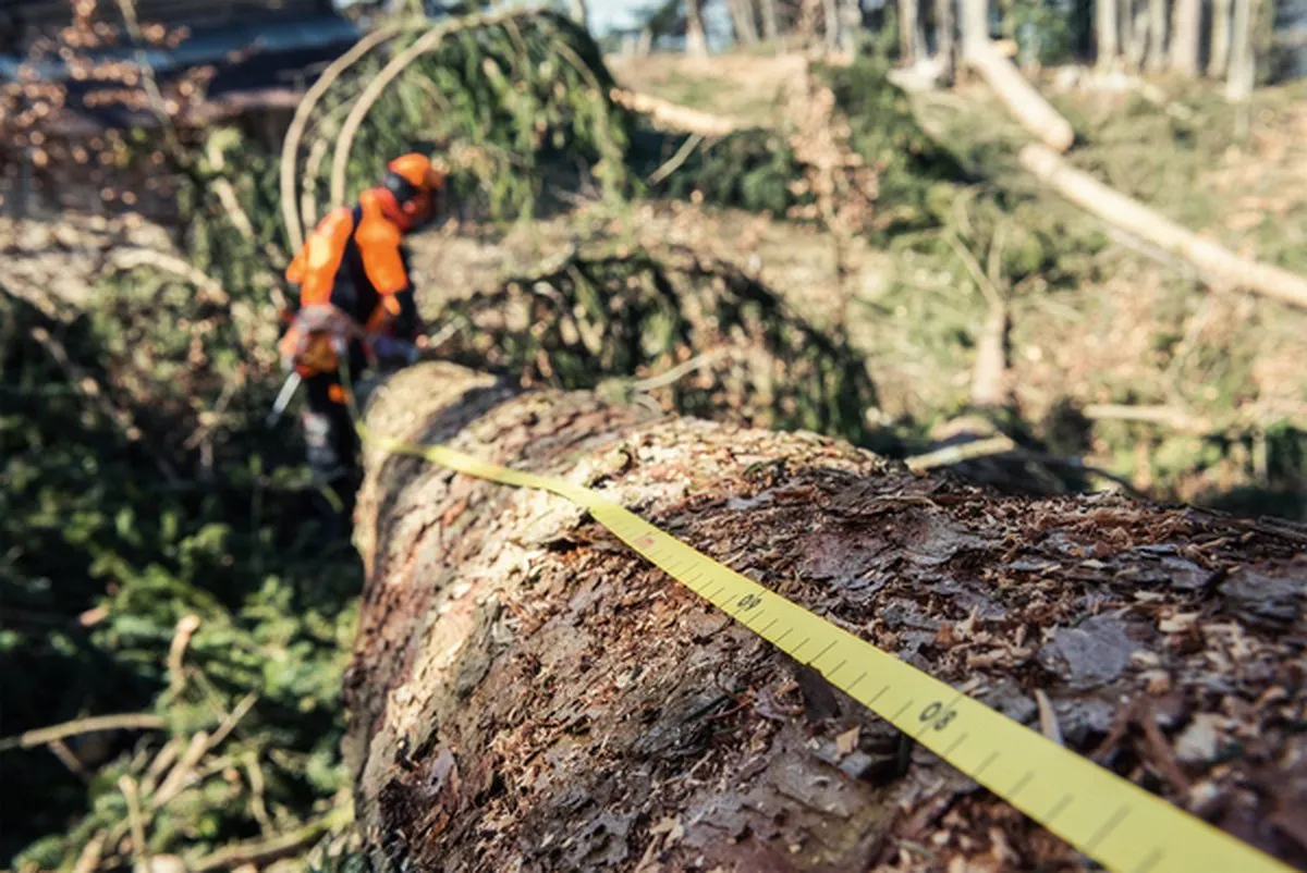 Stihl Bosbouwmeetlint 15m - Metaal