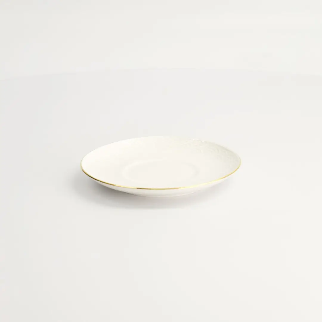 Tokyo Design Studio Nippon White Gold Rim Schotel 12cm