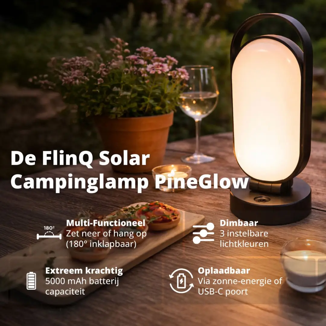 FlinQ Solar PineGlow Tafellamp - 1W - Zwart
