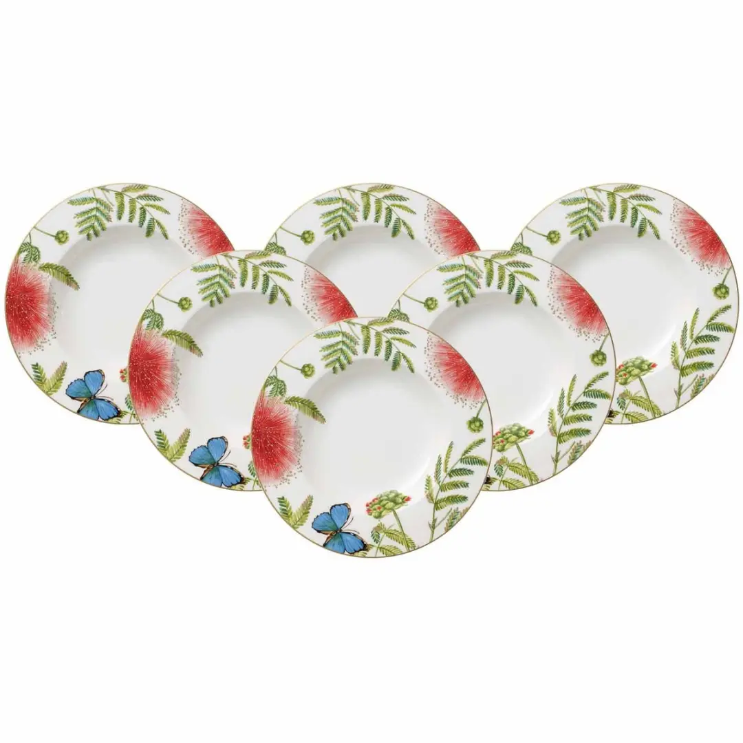 Villeroy & Boch Suppenteller Amazonia Anmut Ø24,6cm