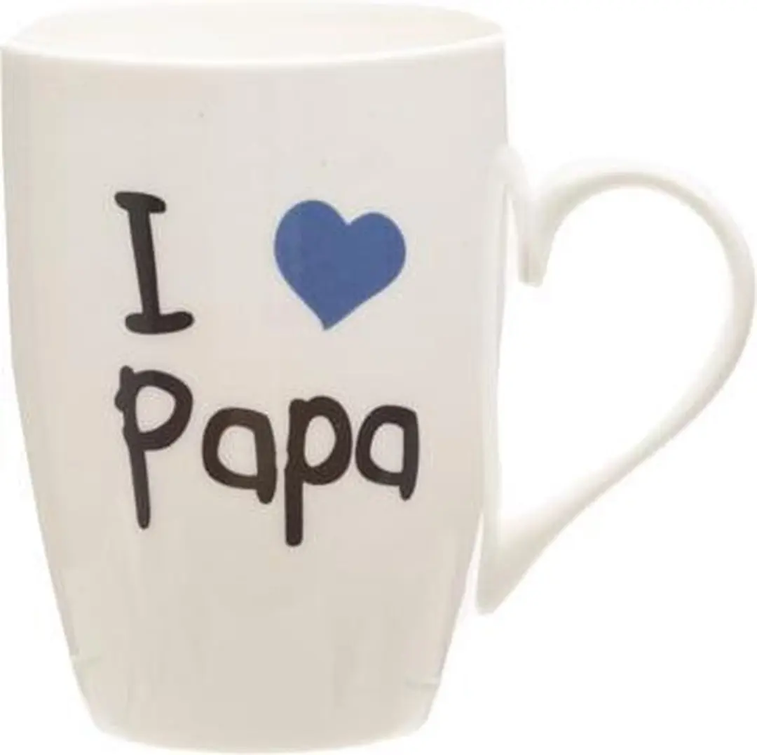 Cosy&Trendy Beker I Love Papa 360ml