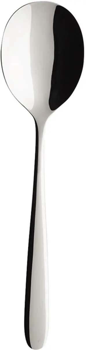 Villeroy & Boch Daily Line Servierlepel 210mm