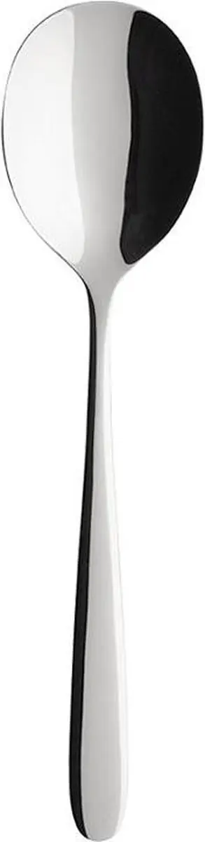 Villeroy & Boch Daily Line Servierlepel 210mm - 1264031270