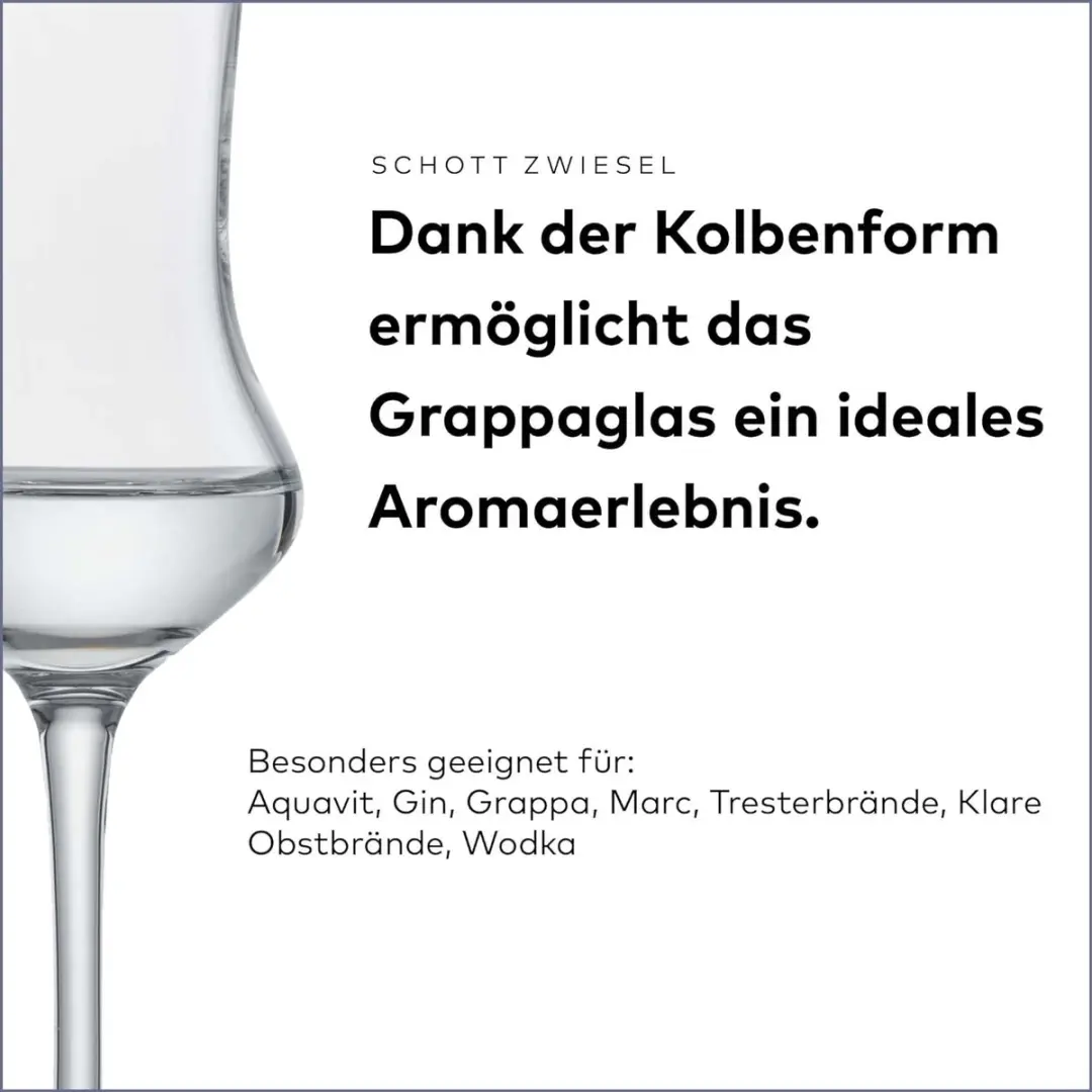 Schott Zwiesel 120518 CLASSICO Glazen - 6 Stuks - Transparant - afbeelding 3 van 3