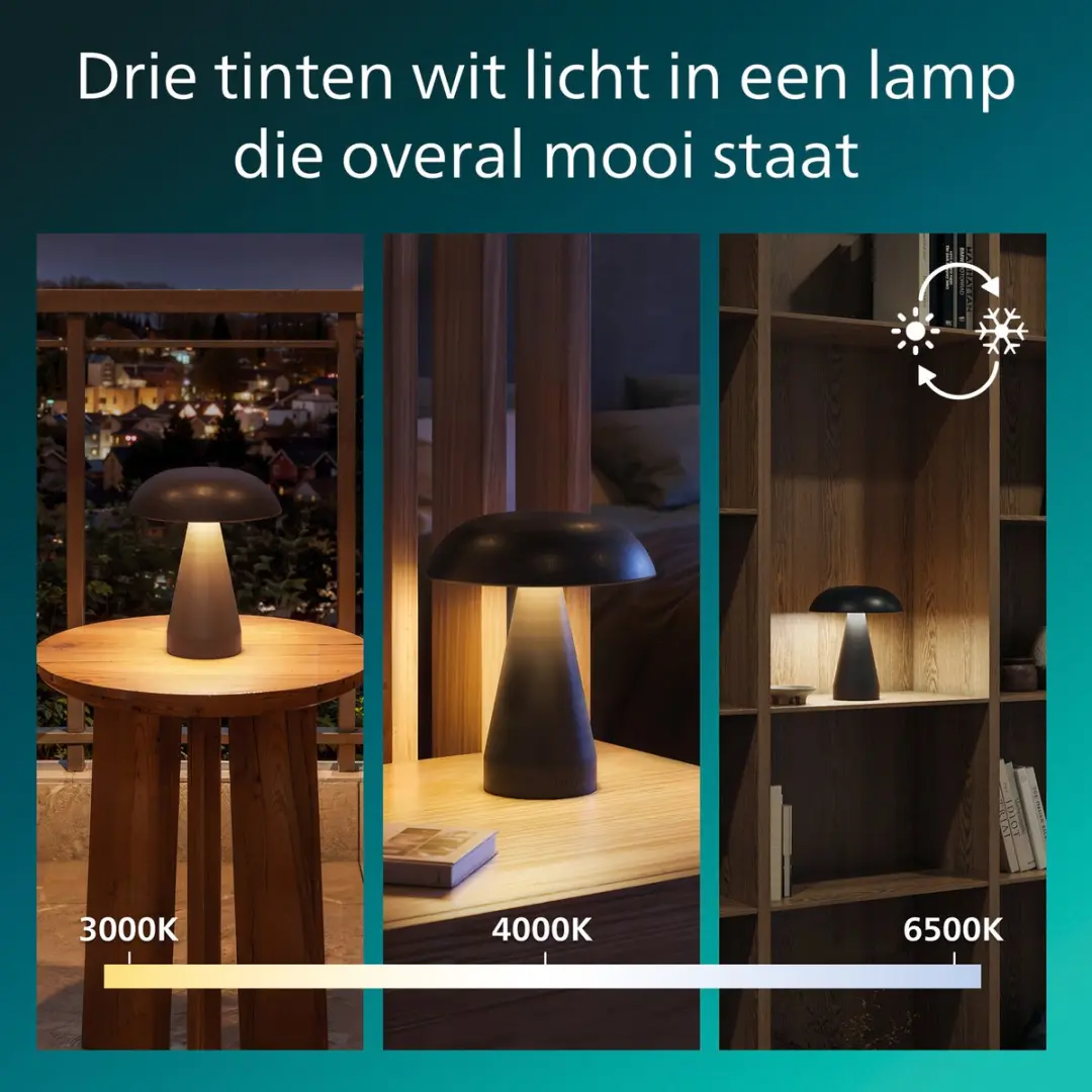 Philips Mycena Tafellamp - 2W - Instelbare kleurtemperatuur - Zwart - afbeelding 6 van 6
