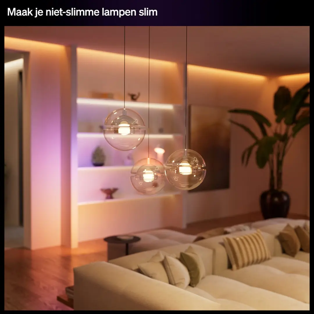 Philips Hue Bedrade Wandschakelaar 2 Kanalen - Wit