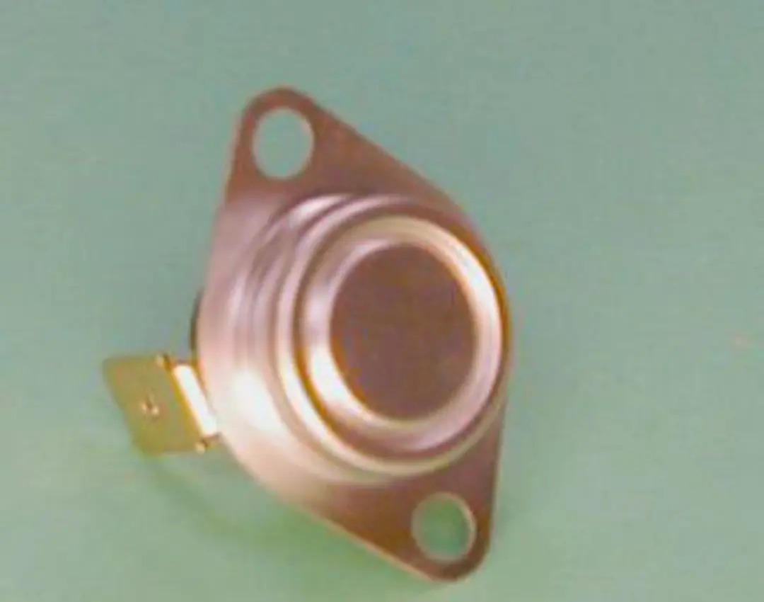 Remeha Veiligheidsthermostaat 86665534