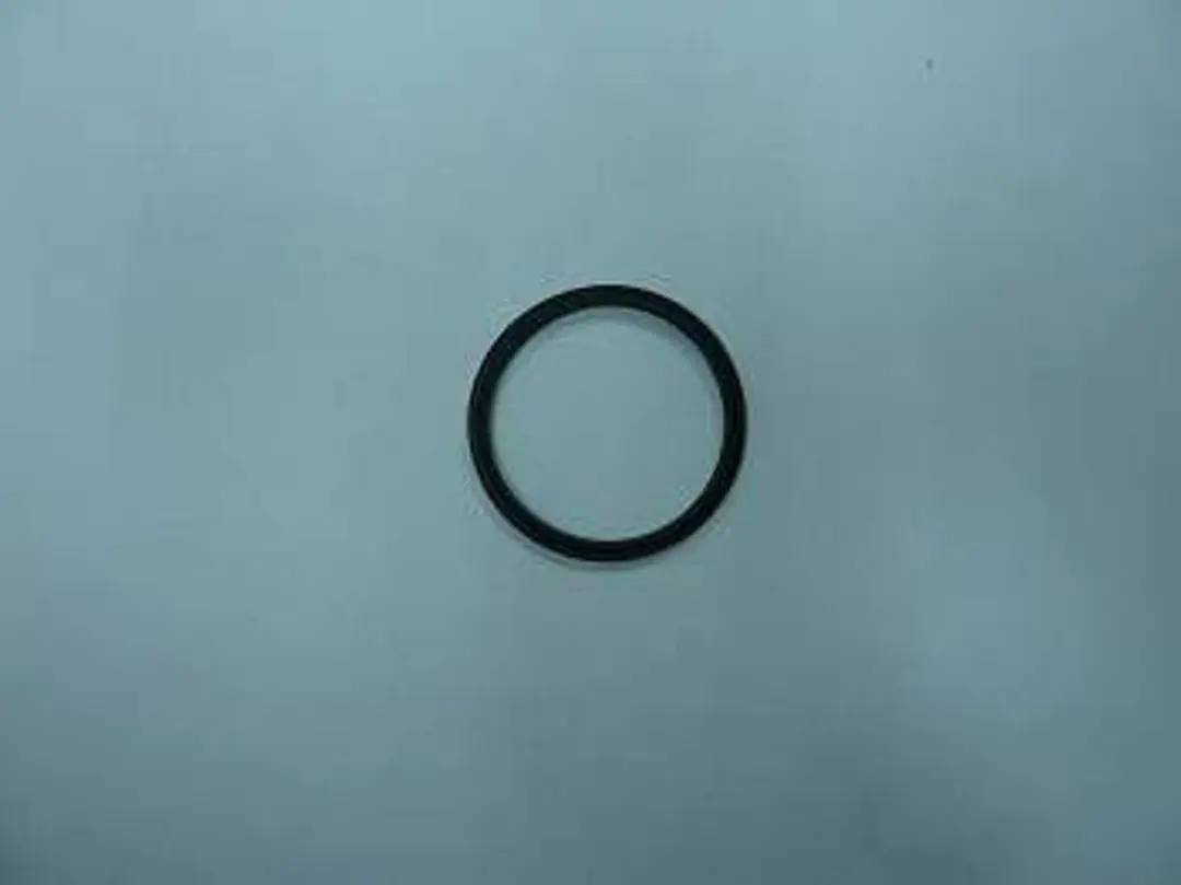Remeha Dichtring D60mm S101580