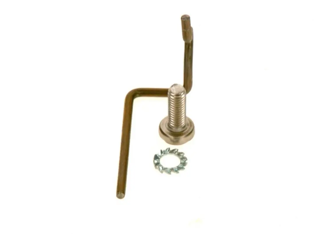 Bosch Massa-elektrode 87290124090